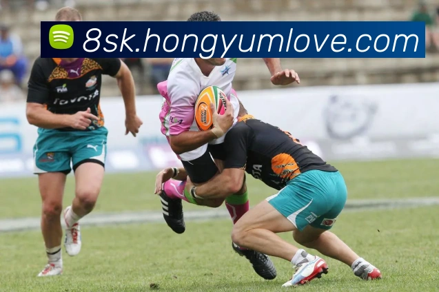 多媒体互动体验